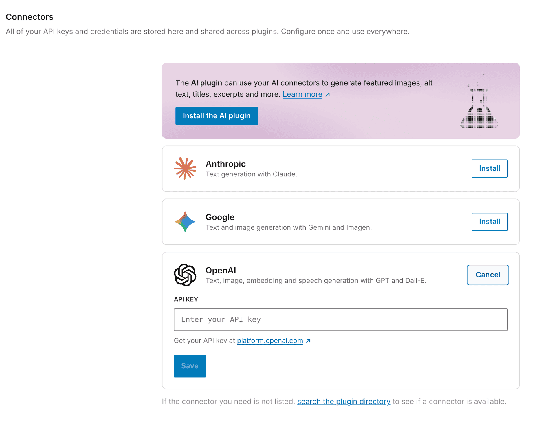 Entering the OpenAI API key
